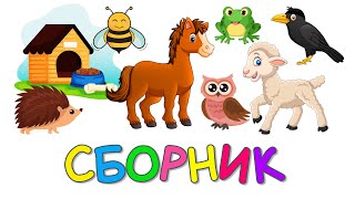 Миниатюра