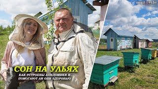 Миниатюра
