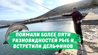 Миниатюра