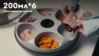 Миниатюра