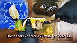 Миниатюра