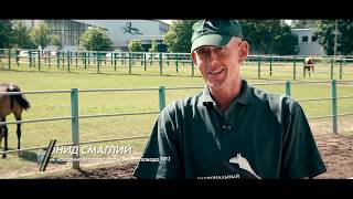 Миниатюра