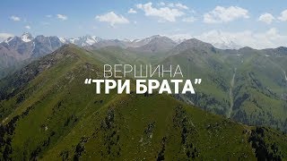 Миниатюра