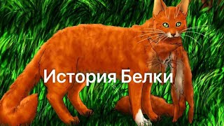 Миниатюра