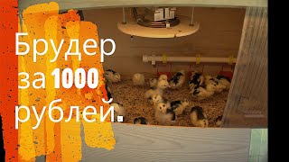 Миниатюра