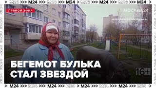 Миниатюра