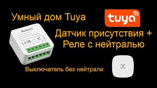 Миниатюра