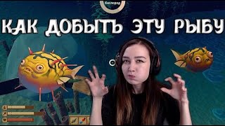 Миниатюра