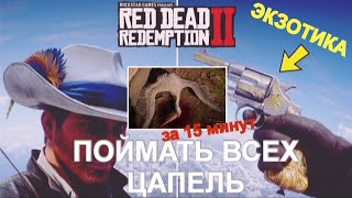 Миниатюра