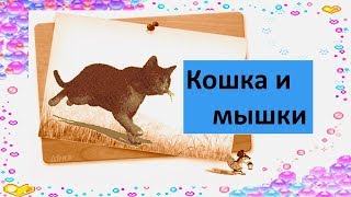 Миниатюра