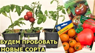 Миниатюра