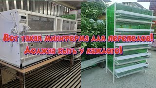Миниатюра