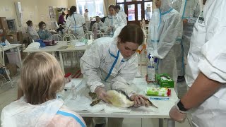 Миниатюра