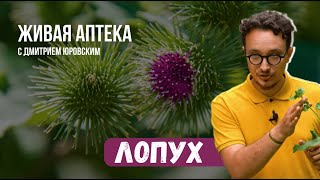Миниатюра