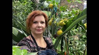 Миниатюра