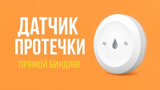 Миниатюра