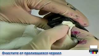 Миниатюра