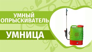 Миниатюра