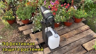 Миниатюра