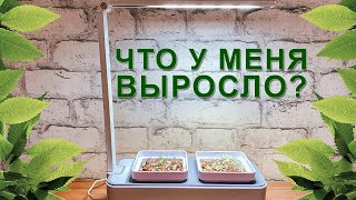 Миниатюра