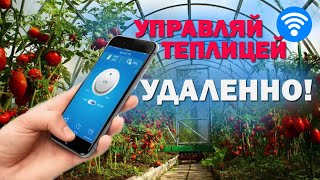 Миниатюра