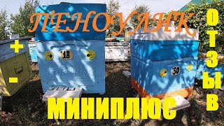 Миниатюра
