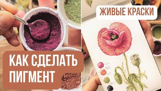Миниатюра