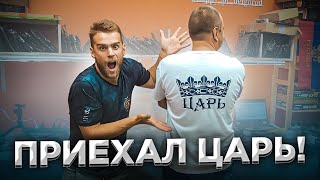 Миниатюра