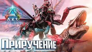 Миниатюра