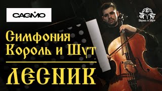Миниатюра
