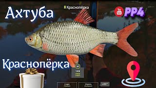 Миниатюра