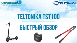Миниатюра