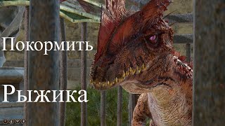 Миниатюра