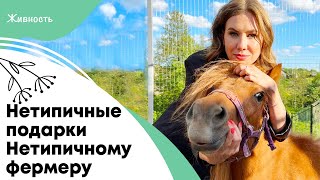Миниатюра