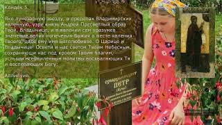 Миниатюра