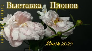 Миниатюра