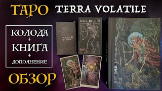 Миниатюра
