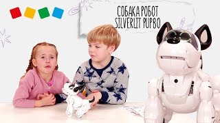 Миниатюра