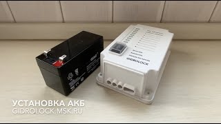 Миниатюра
