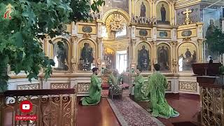 Миниатюра