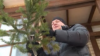 Миниатюра