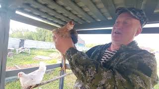 Миниатюра