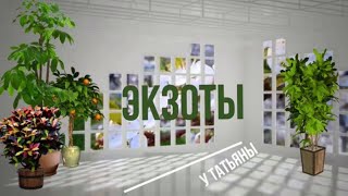 Миниатюра