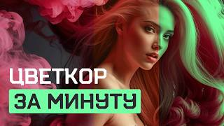 Миниатюра