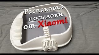 Миниатюра