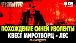 Миниатюра
