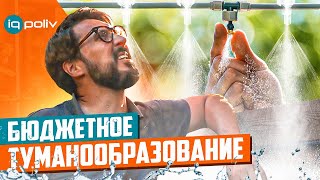 Миниатюра