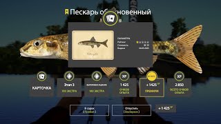 Миниатюра