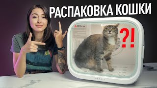 Миниатюра