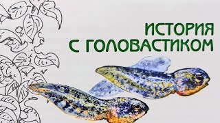 Миниатюра